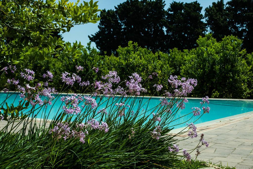 Chiusa Di Carlo Agriturismo Avola Bagian luar foto